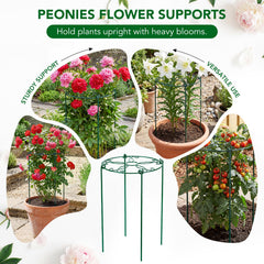 FuBegi installed cage in garden holding stems upright during bloom