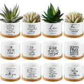 Fumete front view of 24-pack pots showing scripture and tray, ideal gift