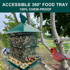FUNWILDLIFE close-up of extendable perches allows multiple birds to feed