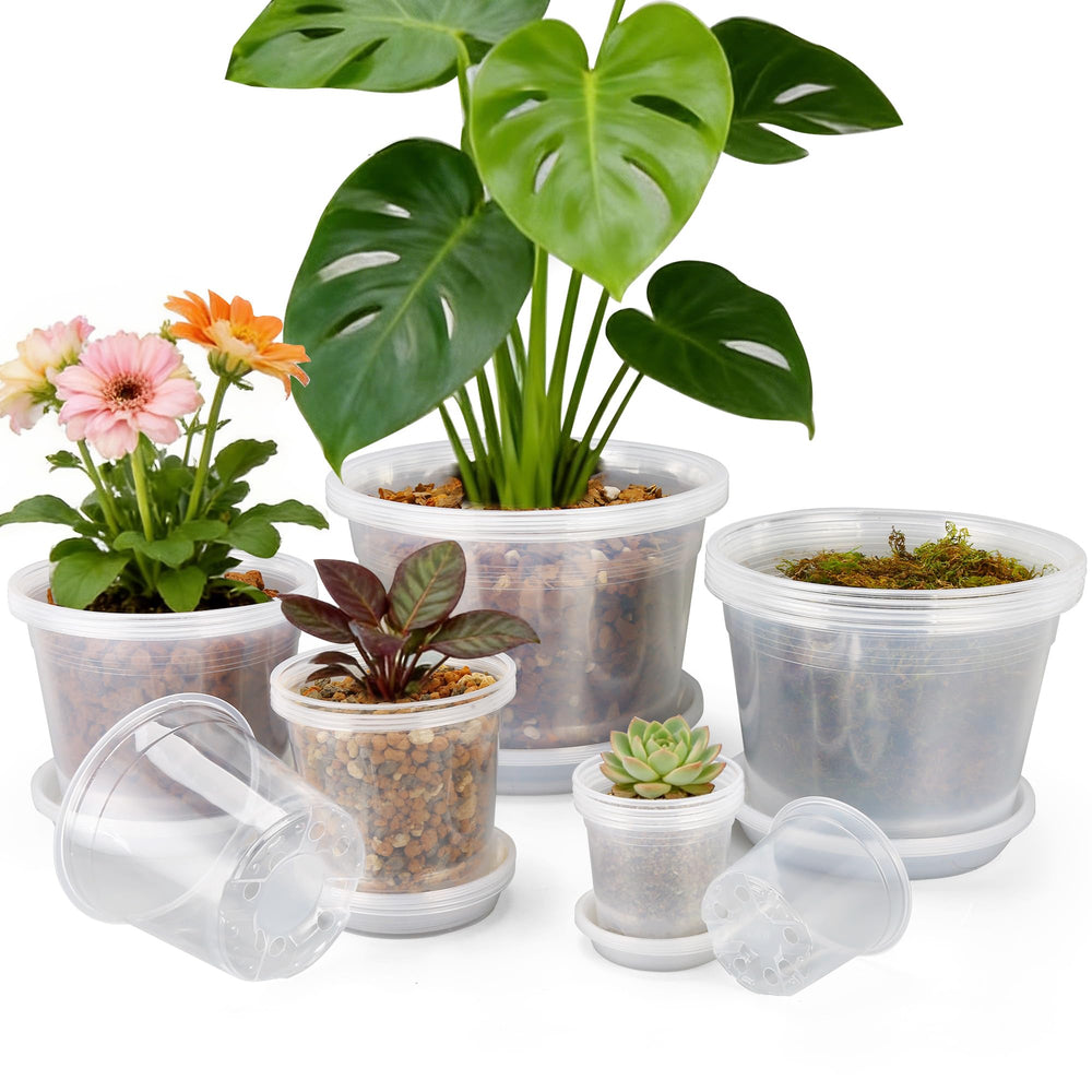FUOAUYK front view of 20-pack clear nursery pots showing variety and benefits