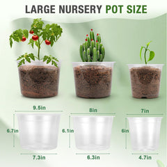 FUOAUYK close-up of translucent pot wall to monitor roots and moisture