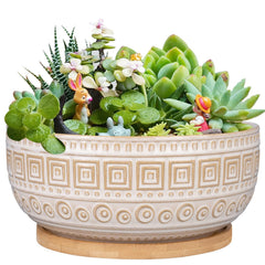 G EPGardening front view of white ceramic planter showing clean design and versatility