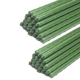 G-LEAF front pack of 50 stakes showing value and quantity