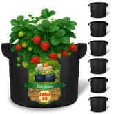 Gardzen 6-pack front view showing pots and packaging, ideal for space-saving gardening