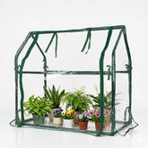 Gardzen front view showing compact greenhouse protecting seedlings