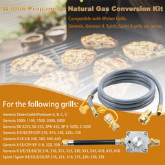 Garsoo natural gas regulator detail showing secure pressure control and safe flow