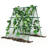 Garvee front view A-frame trellis showing compact vertical support