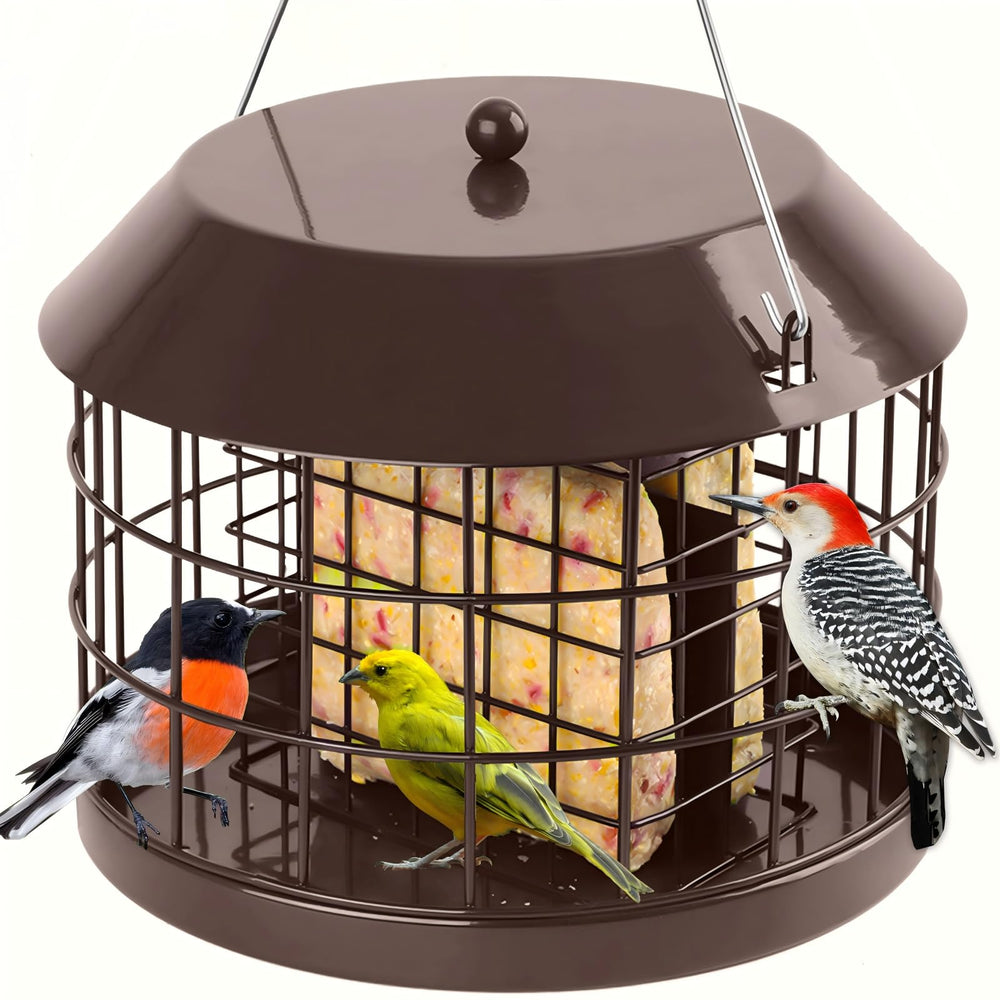 Gbekery front view of hanging suet feeder showing cage and hook, attracts small birds