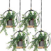 Geelin front view showing all four khaki macrame plant hangers and wood bases, adds boho charm