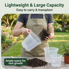 Generic clear pot with visible roots demonstrating easy root observation and care
