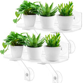 Generic brand front view of clear 12-inch shelf showing tidy plant display and sunlight benefit