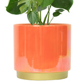 Gepege front view glazed planter showing colorful finish and decorative appeal