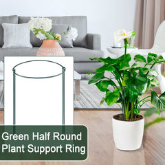 Gicare cage in use holding peony bloom upright for healthier plant display