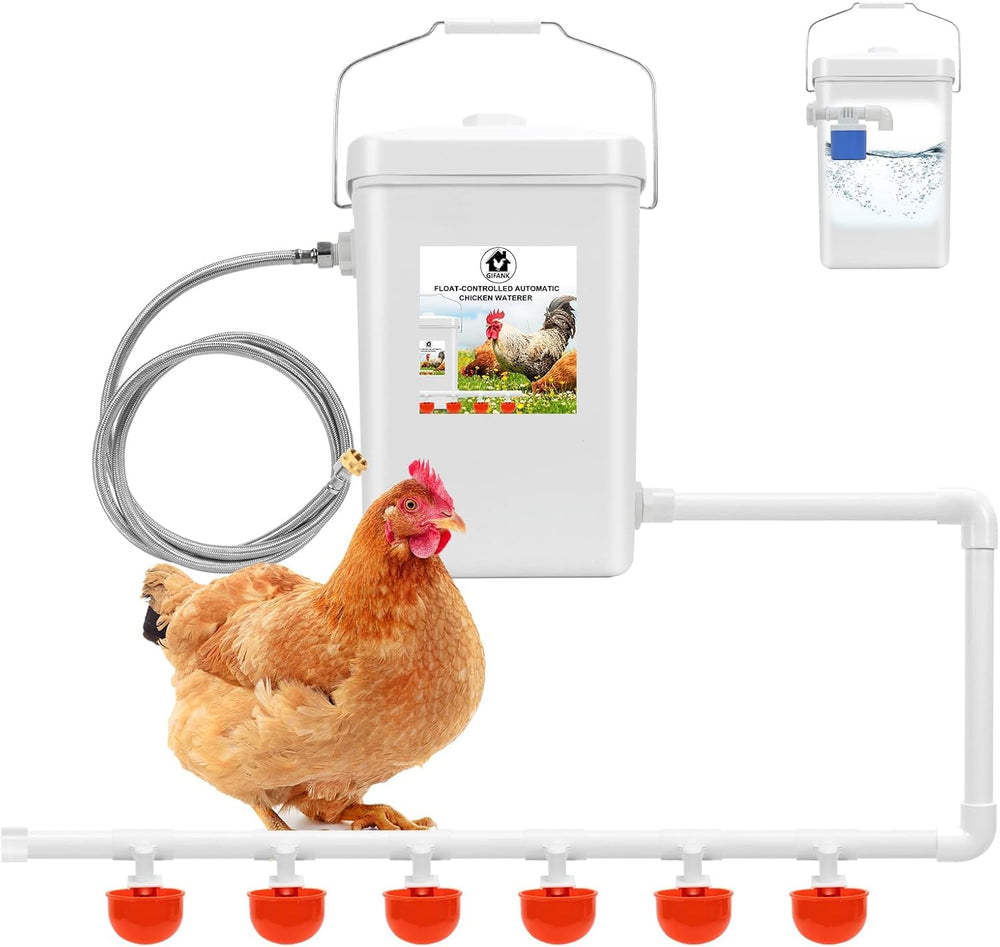 GIFANK front view showing 3-gallon waterer and stable base for easy refills