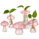 Glasseam front view of five pink mushroom propagation stations showing charming shapes and display benefit