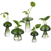 Glasseam front view of five green mushroom propagation jars, decorative and functional