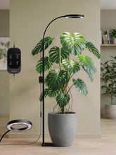 GLOWRIUM front view showing full lamp and stand, brightens large indoor plants