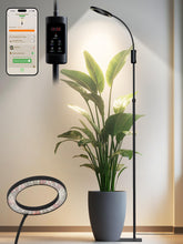 GLOWRIUM front view showing full lamp and stable base, easy placement benefit