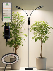 GLOWRIUM front view floor grow light showing full setup and plant coverage benefit