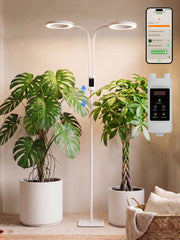 GLOWRIUM front view floor lamp showing sleek profile and clean design benefit tidy spaces