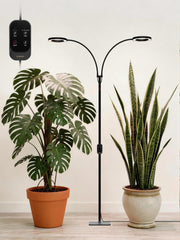 GLOWRIUM front view floor stand showing sleek profile and stable placement