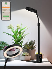 GLOWRIUM front view lamp showing compact base and sleek design for stable placement