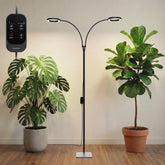 GLOWRIUM front view with stand showing elegant design and stability