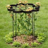 Goooxim front view of peony cage showing clean silhouette and stability