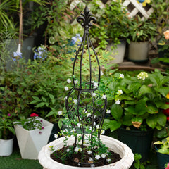 Goooxim trellis beside ruler to show 29.5-inch scale for plant fit