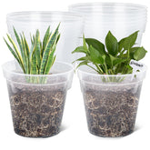 GREANER front view clear pot showing neat profile and benefit of easy inspection