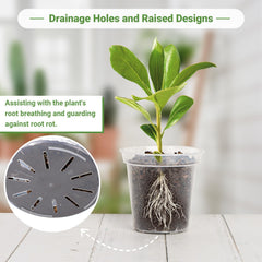 GREANER planter in use with seedling demonstrating visible root and soil health benefit