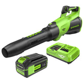 Greenworks blower front view showing controls and easy handling benefit