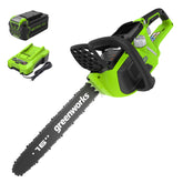 Greenworks chainsaw front packaging showing tool and included battery for convenience