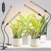 GroCruiser front packaging showing four clip grow lights and benefits