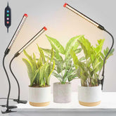 GroCruiser front view of three packaged clip grow lights showing value
