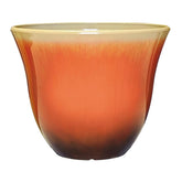 GROWSCAPE Honeysuckle planter front view showing Tequila Sunrise color and curb appeal