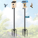 Gtongoko front view complete assembly showing tall feeder pole and stability benefit