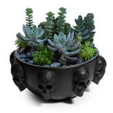 GUTE skull planter front view showing skull face and balanced shape, stylish display