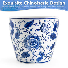 HakkaGirl planter on a windowsill with orchid illustrating natural light and display benefit