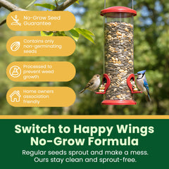 Happy Wings close-up of sunflower kernels highlighting high-oil seeds for energy