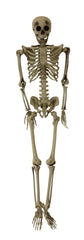 Haunted Hill Farm front view skeleton prop creating instant spooky curb appeal