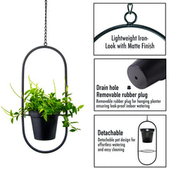 HemePaha detachable pot being removed for easy watering and simple maintenance