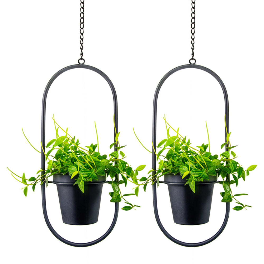 HemePaha front view of oval hanging planters showing sculptural display and space-saving benefit