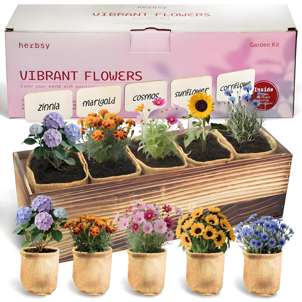 Herbsy wooden box kit packaging showing complete starter set and gifting appeal