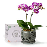 HERDUK front view of dark gray ceramic orchid pot showing elegant shape and drainage