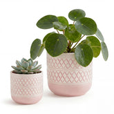 HERDUK front view of both decorative ceramic pots showing boho style and visual appeal