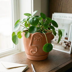 HERDUK front view showing abstract face planter and modern look