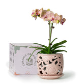 HERDUK front view of pot showing shape and sunflower design benefit: decorative display