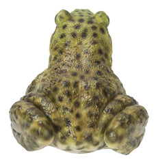 HI-LINE bullfrog close-up texture revealing hand-painted skin detail
