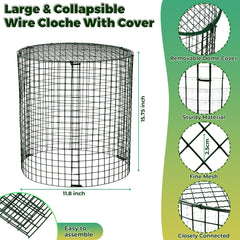Hiboom protector in vegetable bed keeping seedlings safe and visible